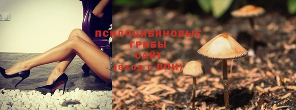 МДПВ Богородицк