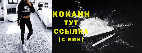 МДПВ Богородицк