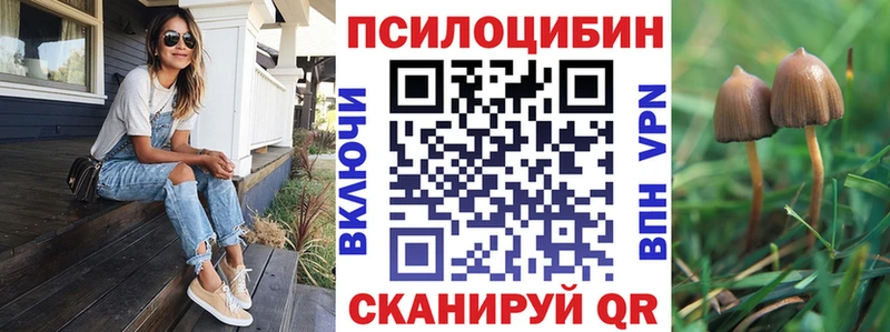 Купить  Бавлы  Галлюциногенные грибы Magic Shrooms 